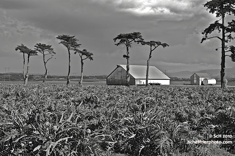 South Hwy 1 beyond Moss Landing